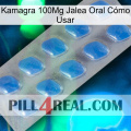 Kamagra 100Mg Jalea Oral Cómo Usar 22